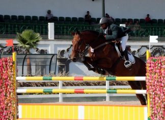 Longines FEI Jumping Nations Cup: National Team Put on a Great Performance