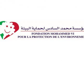 Mohammed VI Foundation for Environmental Protection Takes Action Against Marine Pollution