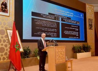 New Development Model: CSMD Presents Conclusions of its Report to Moroccans Abroad in Paris