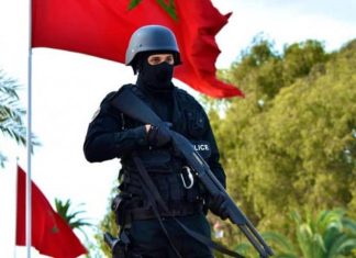 Kenitra: Police Foil International Trafficking Attempt of Over 1 Ton of Chira