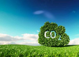 Casablanca takes the lead in green finance with carbon market initiative Casablanca takes the lead in green finance with carbon market initiative