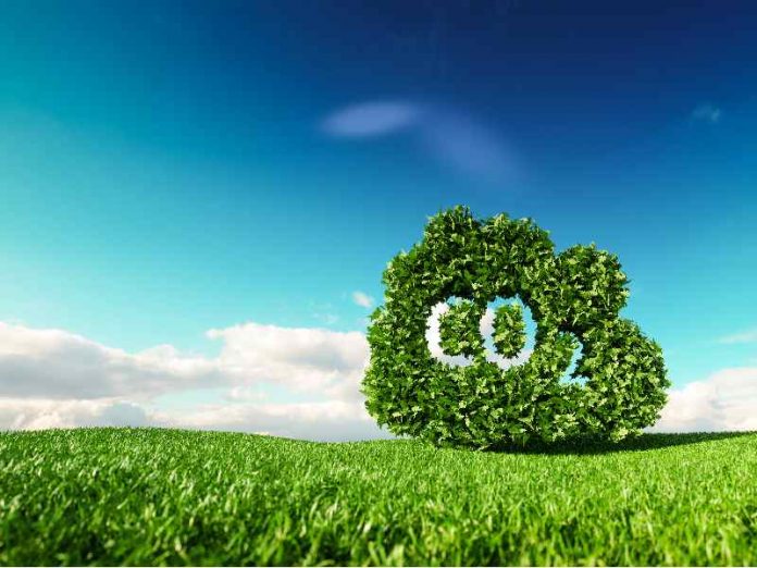 UK Calls for Net Zero Carbon Emissions in International Shipping by 2050