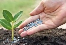 Morocco becomes EU’s top fertilizer supplier, surpassing Russia Morocco becomes EU's top fertilizer supplier, surpassing Russia