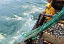 Moroccan fishing industry shrinks 15% in 2025 amid resource strain Moroccan fishing industry shrinks 15% in 2025 amid resource strain