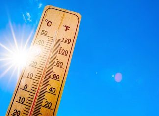 Orange alert: Up to 46°C expected in upcoming heat wave