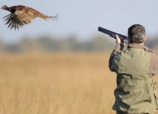 ANEF goes digital: Modernizing hunting management in Morocco