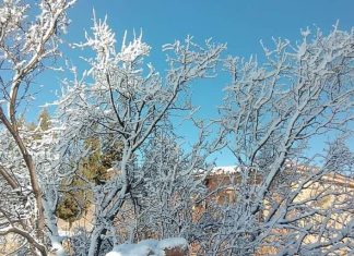Morocco’s winter wonderland: Snow blankets regions, sparking joy and hope