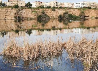 Casablanca set to transform El Oulfa pond into a lush eco park
