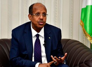 Mahamoud Ali Youssouf’s election: A diplomatic coup for Morocco in the African Union