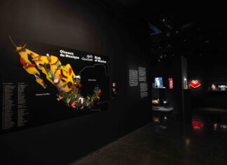 Where birds speak: A Mexican-Moroccan dialogue in art