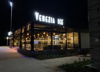 Dislog Group expands with the acquisition of Venezia Ice and MCDF