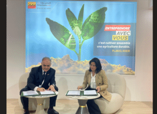 Attijariwafa Bank and FENAGRI launch major support plan for food companies