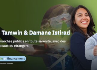 Public contracts: Finéa unveils targeted funding tools to boost small business