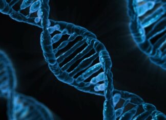 Morocco maps its genome: a scientific milestone toward precision medicine