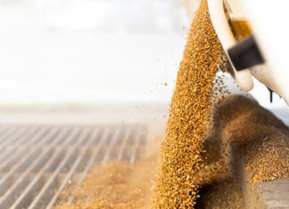 Transwin and Cap Holding take joint control of Finalog SA Morocco cuts cereal imports as domestic production rises