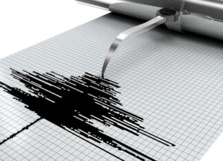 4.6-magnitude tremor felt in Marrakech and beyond