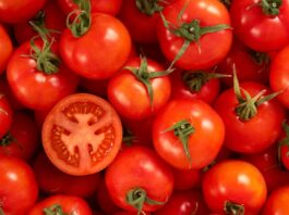 Moroccan tomato exports to Spain surge by 40% in one year