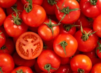 Morocco breaks tomato export records in Norway amid soaring demand Moroccan tomato exports to Spain surge by 40% in one year