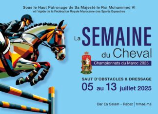 Morocco’s Horse Week turns 40 with a grand celebration in Rabat