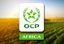 OCP Africa raises capital to 2.4 billion dirhams OCP Africa raises capital to 2.4 billion dirhams