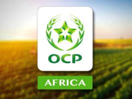 OCP Africa reshapes leadership to drive continental growth
