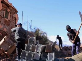 Rebuilding lives in Al Haouz: a race against nature