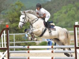 Morocco’s Horse Week gallops into Its 40th year with thrilling competitions
