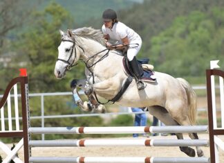 Morocco’s Horse Week gallops into its 40th year with thrilling competitions Morocco Royal Tour returns with star-studded lineup and global prestige