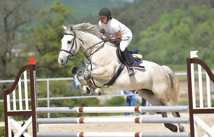 Morocco’s Horse Week gallops into Its 40th year with thrilling competitions