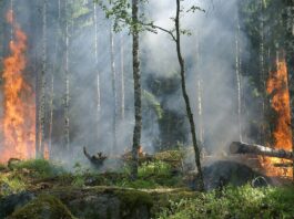 Morocco on high alert as wildfire risk reaches extreme levels