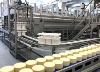 1,000 jobs on the horizon as Nador launches new cheese plant 1,000 jobs on the horizon as Nador launches new cheese plant