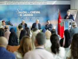 El Jadida Horse Show focuses on wellness and heritage in 2025 edition