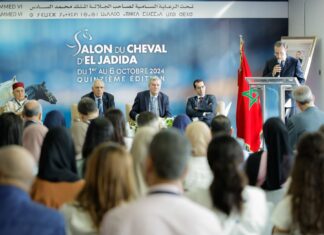 El Jadida Horse Show focuses on wellness and heritage in 2025 edition El Jadida Horse Show focuses on wellness and heritage in 2025 edition