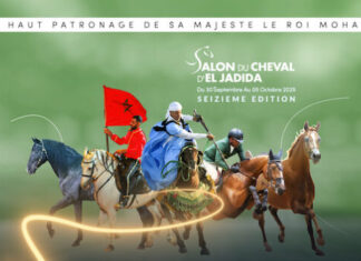 Morocco’s biggest horse show returns with a focus on animal welfare Morocco’s biggest horse show returns with a focus on animal welfare