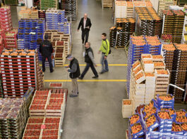 Morocco’s Q2 business outlook: stability with uneven growth