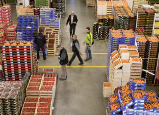 Morocco’s Q2 business outlook: stability with uneven growth Morocco’s Q2 business outlook: stability with uneven growth