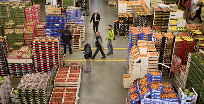 Morocco’s Q2 business outlook: stability with uneven growth