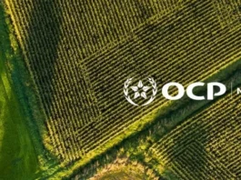OCP Nutricrops launches Dutch holding company to streamline global strategy