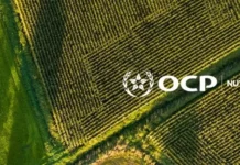 At Davos, OCP Nutricrops champions soil-based farming for food security At Davos, OCP Nutricrops promotes data-driven farming tailored to soil conditions as a pathway to food security and resilience.