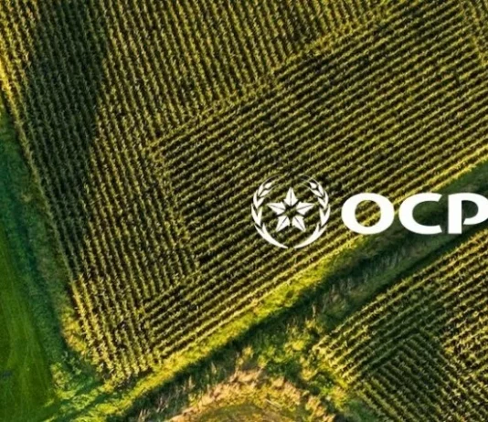 OCP lands $56m phosphate fertiliser deal in Bangladesh Bangladesh approves $56m fertiliser deal with OCP