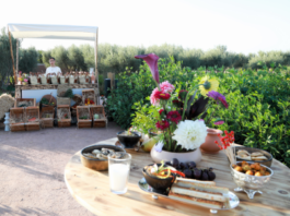 A new green escape opens in Marrakech with the launch of 'Jardin Ocre'