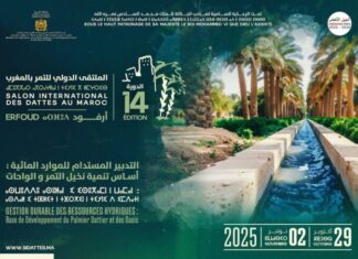 Erfoud to host International Date Palm Fair with focus on water sustainability Erfoud to host International Date Palm Fair with focus on water sustainability