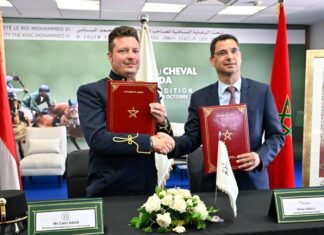 SOREC signs strategic deal with Hungary’s historic State Stud of Szilvásvárad SOREC signs strategic deal with Hungary’s historic State Stud of Szilvásvárad