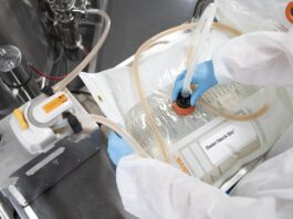 Tetra Pak and Swan Neck Bio fast-track fermented food production