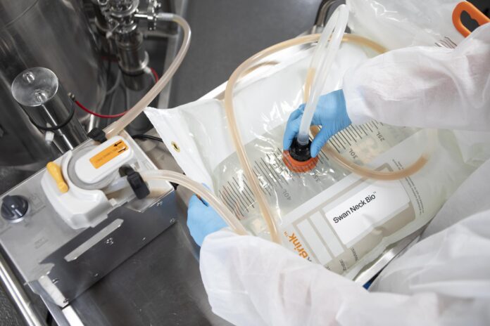 Tetra Pak and Swan Neck Bio fast-track fermented food production
