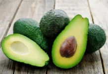 Tough start for Morocco’s avocado season as South American supply surges Tough start for Morocco’s avocado season as South American supply surges
