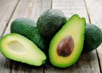 Tough start for Morocco’s avocado season as South American supply surges Tough start for Morocco’s avocado season as South American supply surges