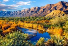 New competition puts Moroccan tourism startups in the global spotlight New competition puts Moroccan tourism startups in the global spotlight