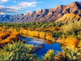 Morocco launches major plan to save climate-threatened oases