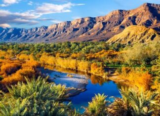 Morocco launches major plan to save climate-threatened oases Morocco launches major plan to save climate-threatened oases